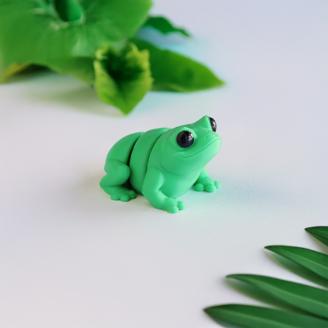Tiny Frog & Keychain