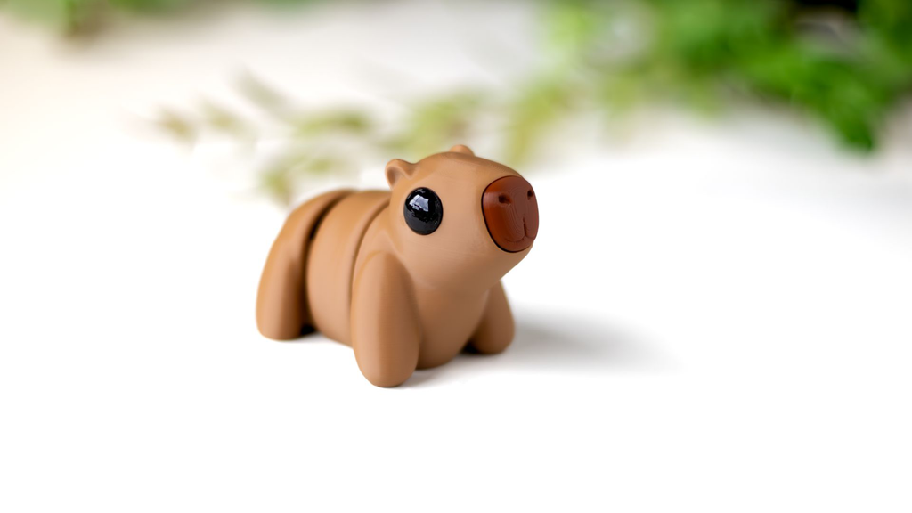 Tiny Capybara & Keychain