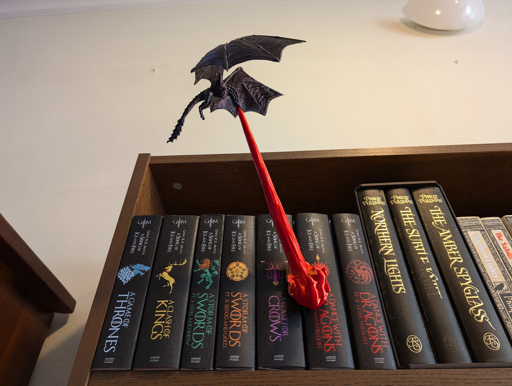Flying Dragon Book Nook