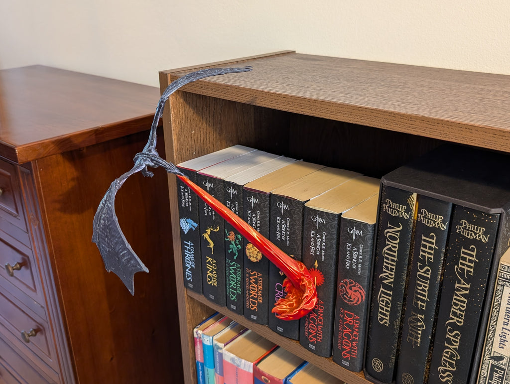 Flying Dragon Book Nook