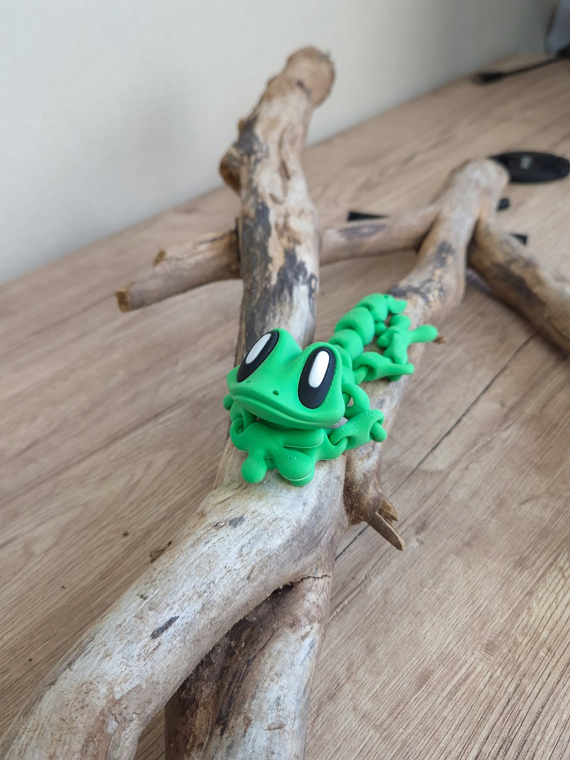 Magnetic Gecko
