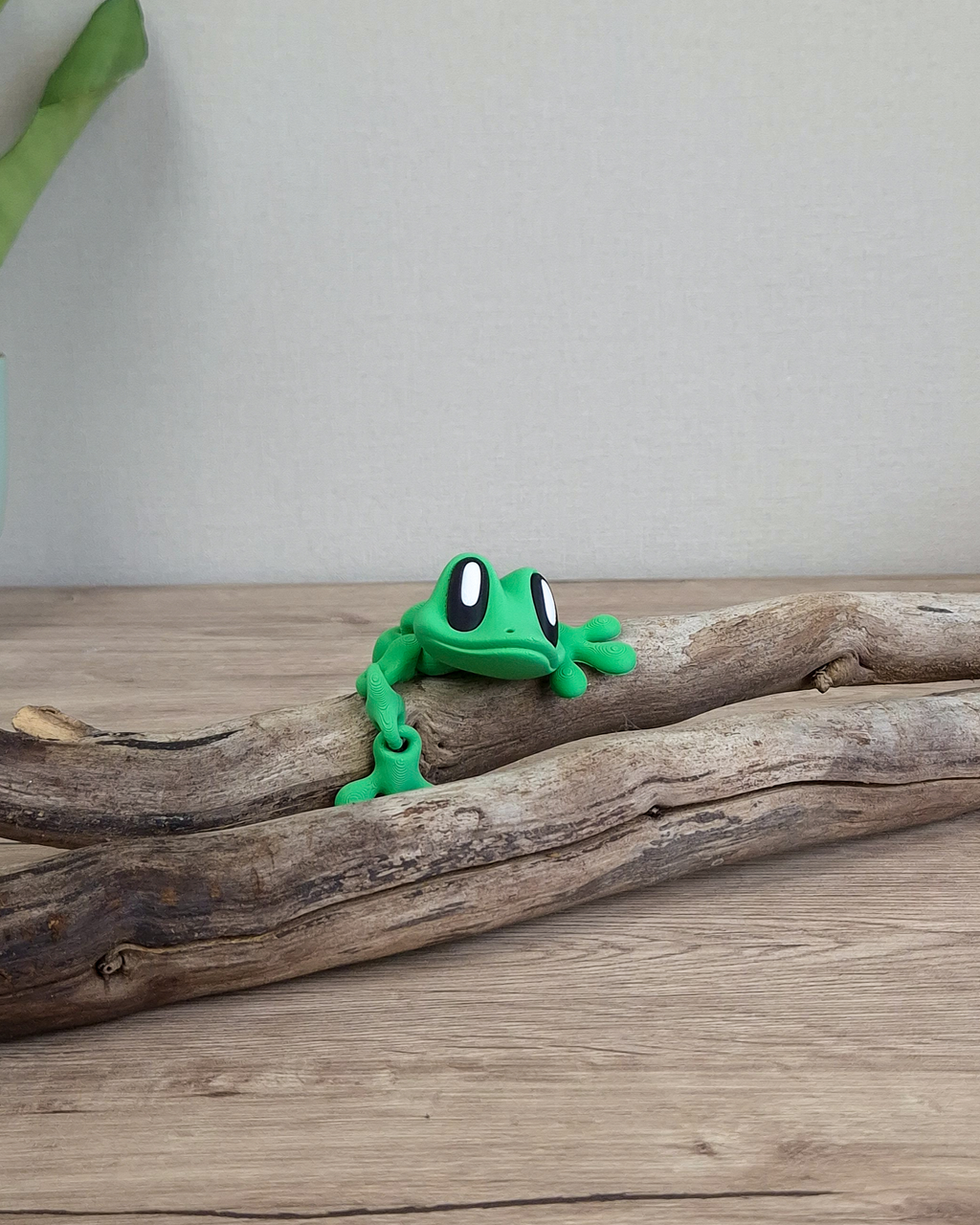 Magnetic Gecko