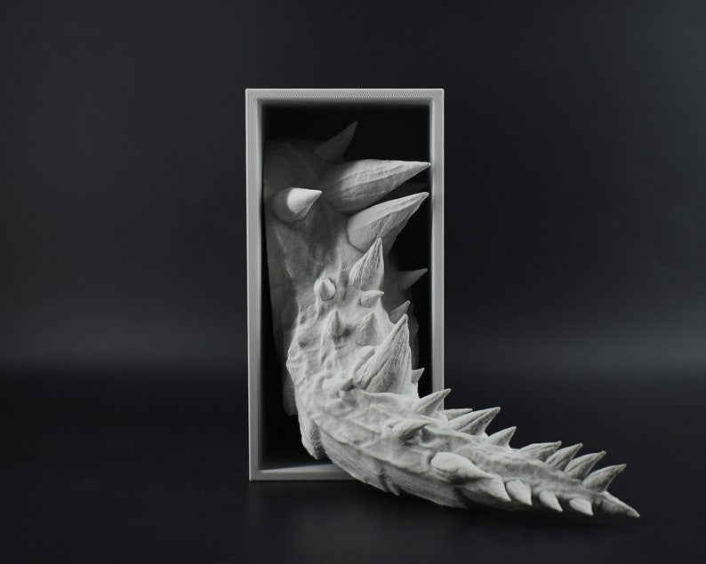 Dragon Book Nook with Tail