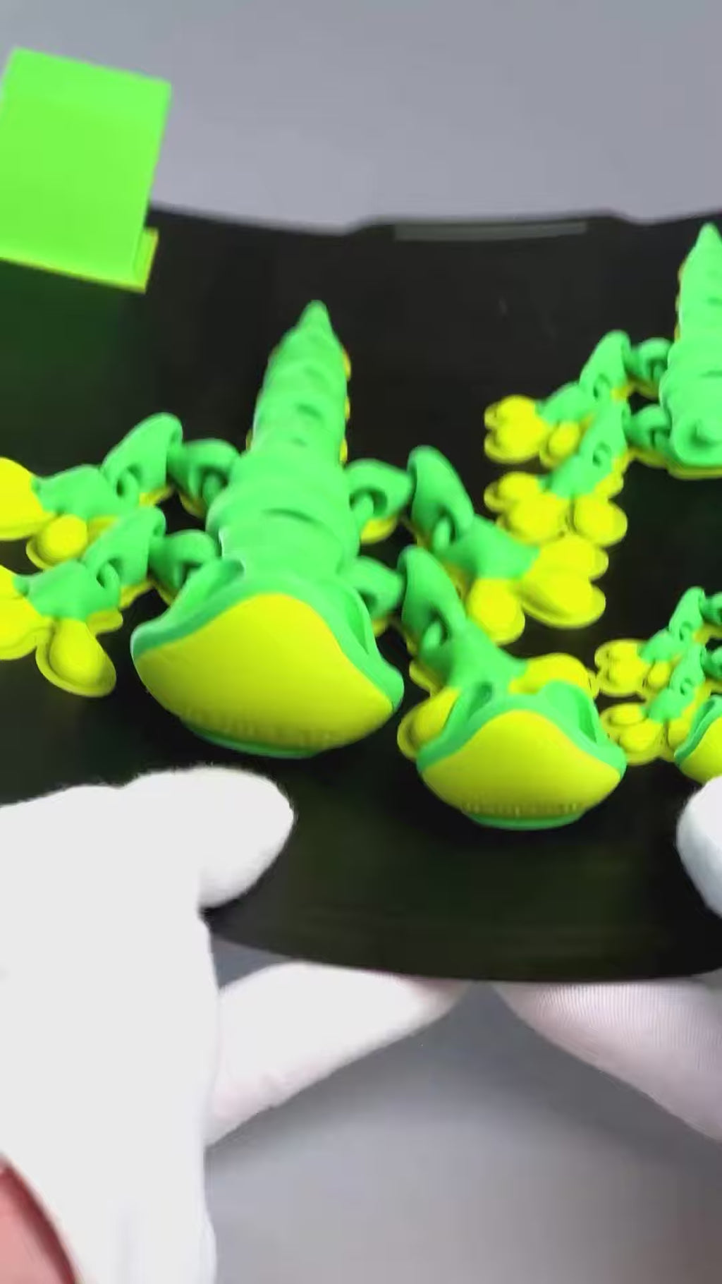 Magnetic Gecko